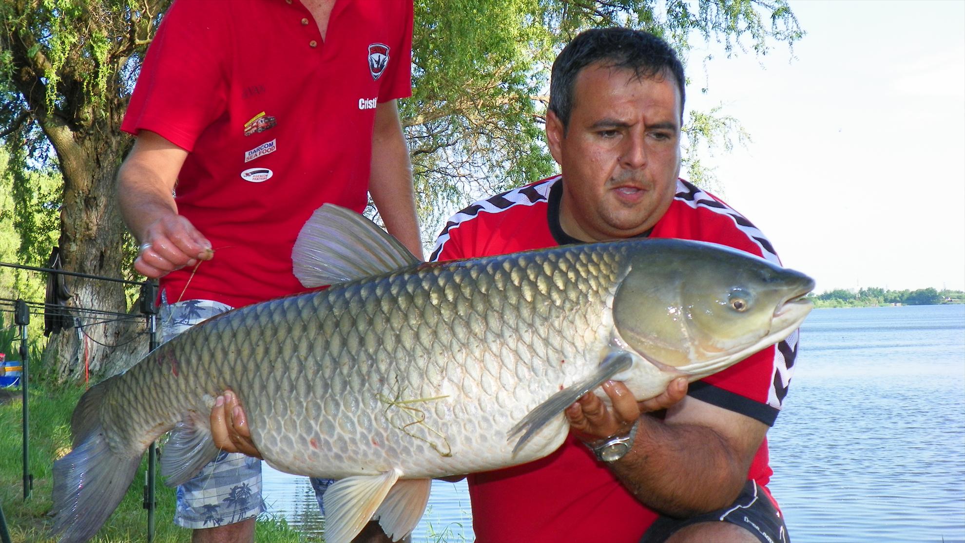 Crapmania - 2011 - 1001031.JPG